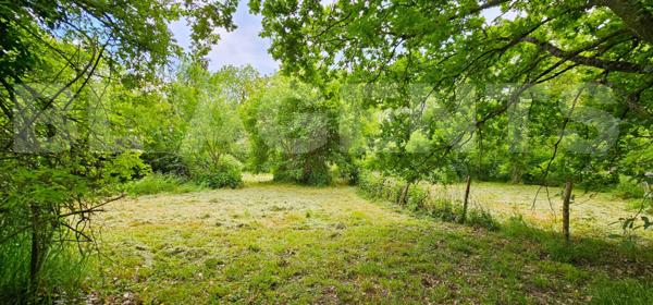 Opportunité RARE sur le secteur : Propriété sur 6300 m² avec bâtisse 220 m² sur SOUS-SOL et caves / 