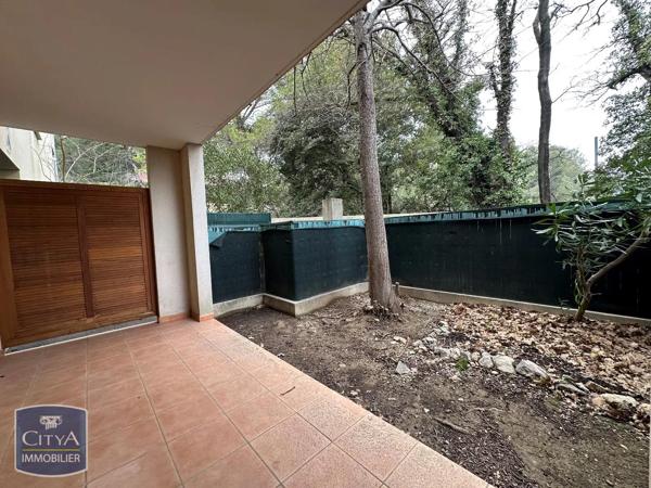Appartement à louer 1 pièce 29.4m² Vedène (84270)