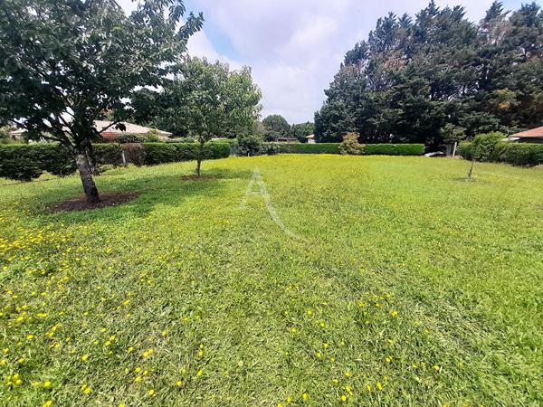 Villeneuve de Marsan