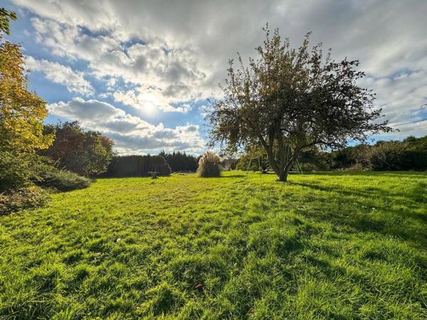 Vente Maison de village 7 pièces 271 m2 à Saint-Broingt-le-Bois