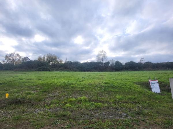 Terrain Chalonnes Sur Loire