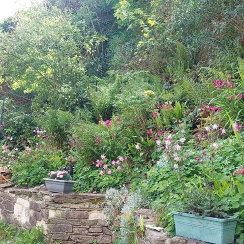 Appartement atypique avec jardin de 200 m² Morlaix (29600)