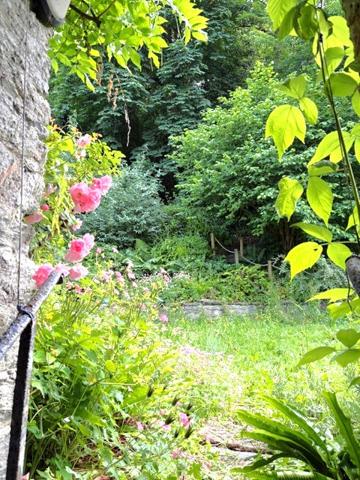 Appartement atypique avec jardin de 200 m² Morlaix (29600)