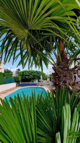 villa 4 pieces sur 1061 m² de terrain 84500 bollene Bollène (84500)