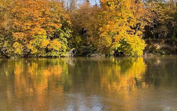 Maison à vendre    5 pièces •  La Varenne - Saint-Maur-des-Fossés