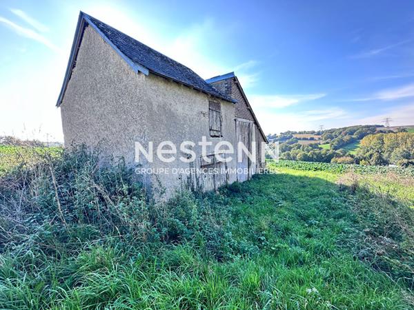 Charmante maison de campagne de 65.57 m² à vendre avec dépendance et beau terrain arboré à Flée (72500)