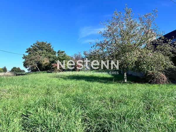 Charmante maison de campagne de 65.57 m² à vendre avec dépendance et beau terrain arboré à Flée (72500)