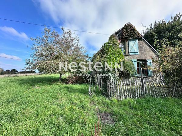 Charmante maison de campagne de 65.57 m² à vendre avec dépendance et beau terrain arboré à Flée (72500)