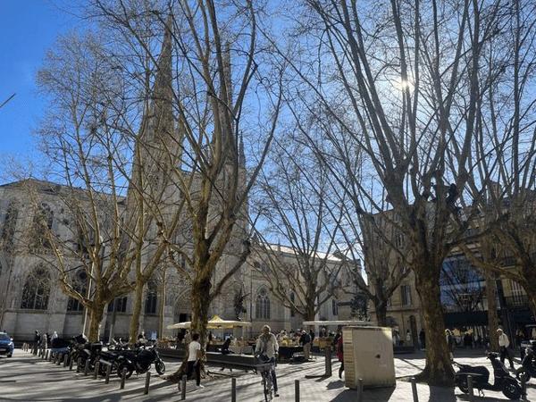 Parking à Bordeaux 2 Rue Beaubadat 33000 à louer
