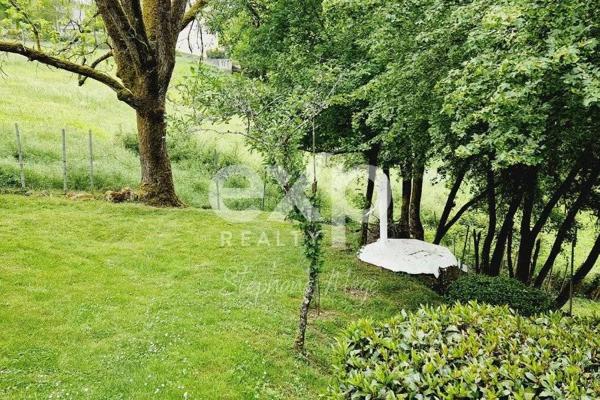 Terrain arboré avec bâti à réhabiliter – Projet de maison individuelle – Rare à la vente