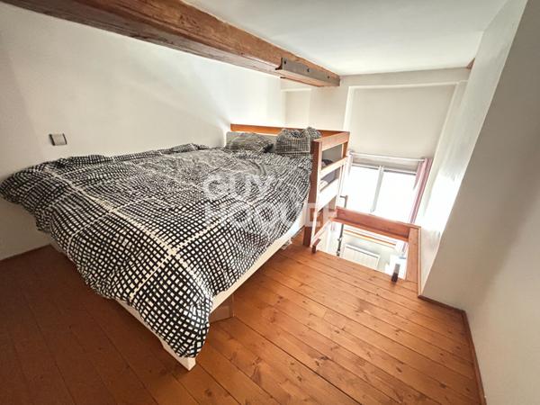 Canut T4bis 103m² dernier étage Coeur Croix rousse