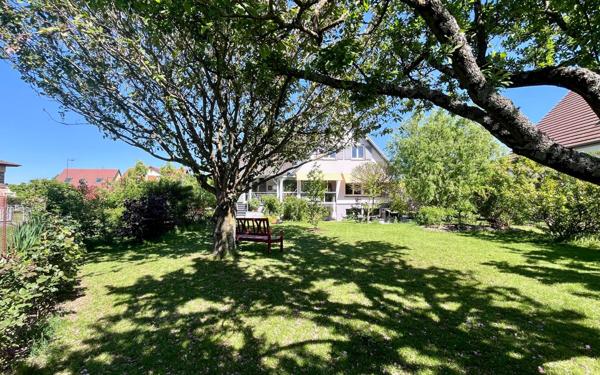 Maison à vendre    6 pièces • 272 m2 Monswiller