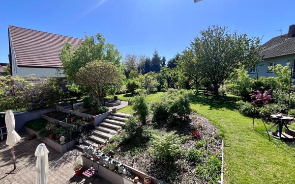 Maison à vendre    6 pièces • 272 m2 Monswiller