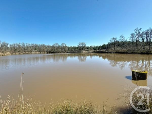 Terrain à vendre  25600 m2 VEILLEINS - 41