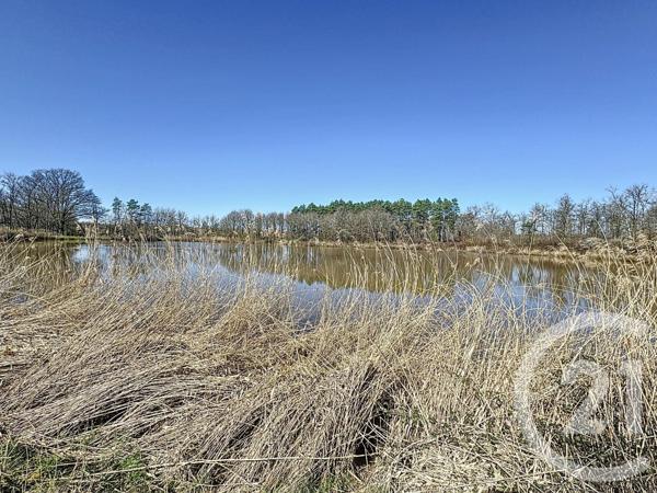 Terrain à vendre  25600 m2 VEILLEINS - 41