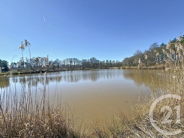 Terrain à vendre  25600 m2 VEILLEINS - 41