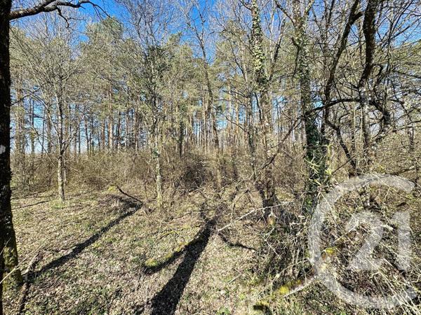 Terrain à vendre  25600 m2 VEILLEINS - 41