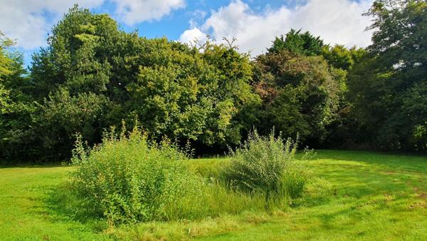 Belle maison contemporaine 3/4 chambres