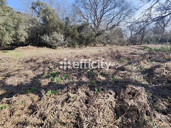 Terrain - 1890 m² Exclusivité efficity