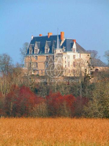 Superbe château historique du XVe siècle de 20 pièces proche de SABLE SUR SARTHE