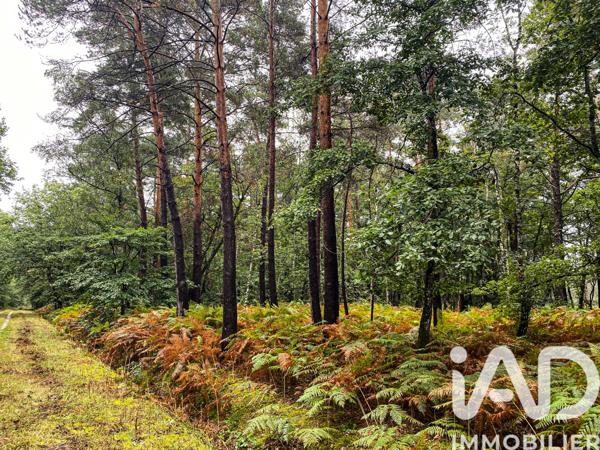 Maison à vendre 5 pièces 135 m² Ardon