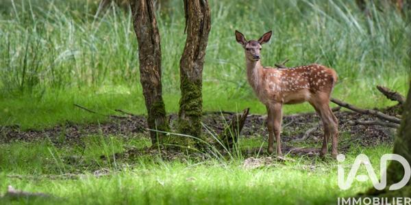 Maison à vendre 5 pièces 135 m² Ardon