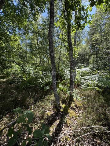 Terrain de 1 646 m²