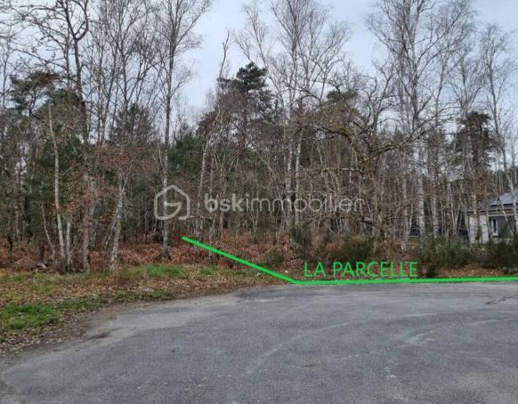 Terrain de 1 646 m²