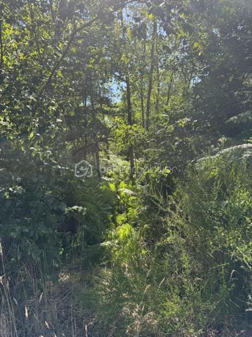 Terrain de 1 646 m²