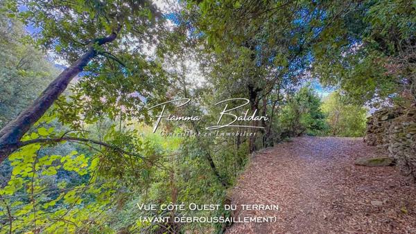 À vendre Terrain 750m², Canaja, Campile, Haute-Corse (20)