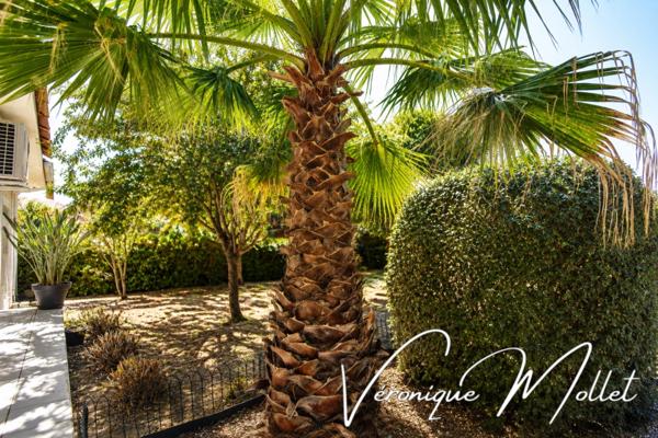 SAINTE-EULALIE – PLAIN-PIED, 3 CHAMBRES, BUREAU, PISCINE ET DOUBLE GARAGE