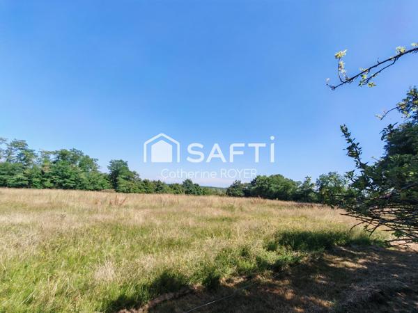Maison ancienne rénovée sur 20000 m² de terrain