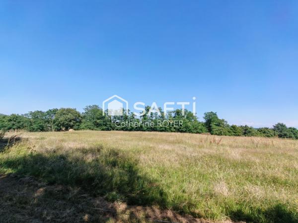 Maison ancienne rénovée sur 20000 m² de terrain