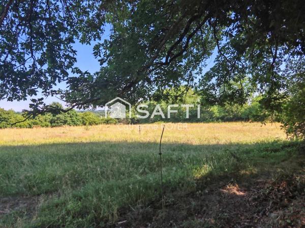 Maison ancienne rénovée sur 20000 m² de terrain