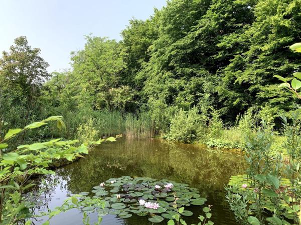 Magnifique ensemble Bressan