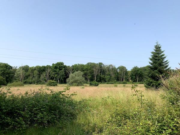 Magnifique ensemble Bressan