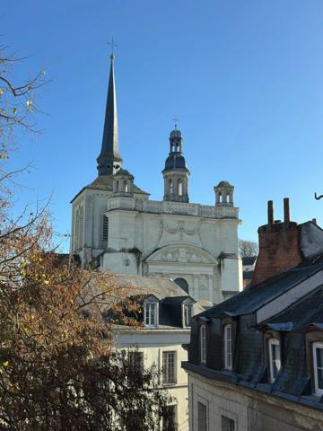 SAUMUR Ultra-centre, Maison de ville de 285m² avec grande terrasse de 40m²
