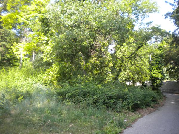 Terrain constructible de 1270m² à Mondragon Mondragon (84430)