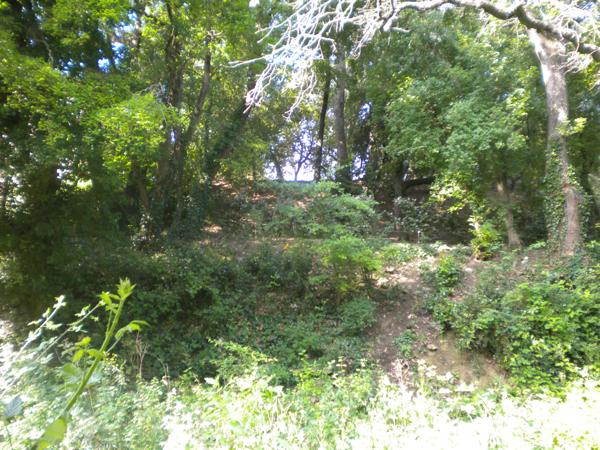 Terrain constructible de 1270m² à Mondragon Mondragon (84430)