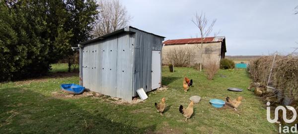 Terrain à vendre 3 395 m² Néré