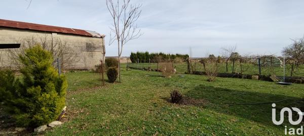 Terrain à vendre 3 395 m² Néré