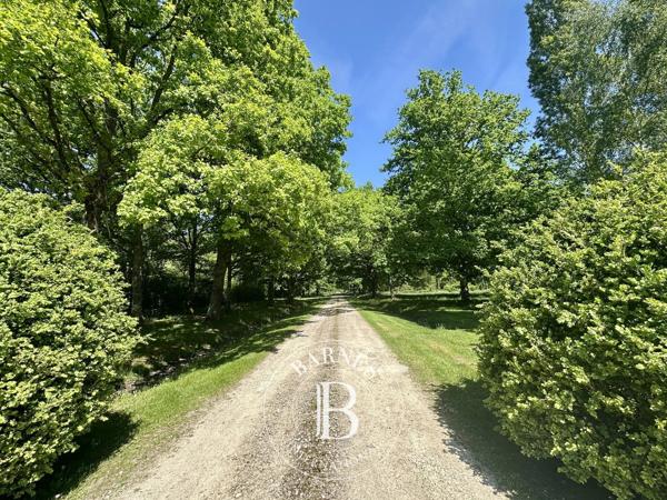Fontainebleau, Propriété 7 Chambres -  700 m² à vendre