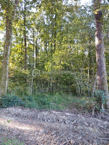 BSK IMMOBILIER est heureux de vous présenter en exclusivité ces deux parcelles de bois en taillis face à face pour une contenance totale de 3614 m².
Les deux parcelles de bois se composent de hêtres, de chênes, de bouleaux et de houx.
En plus de la ressource en bois de chauffage pour les hivers, profitez d'un investissement défiscalisé.
Enfin, pour une meilleure profitabilité, vous pourrez éventuellement louer ces deux parcelles à des chasseurs.
Vous voulez en savoir plus, contactez-moi !!!
