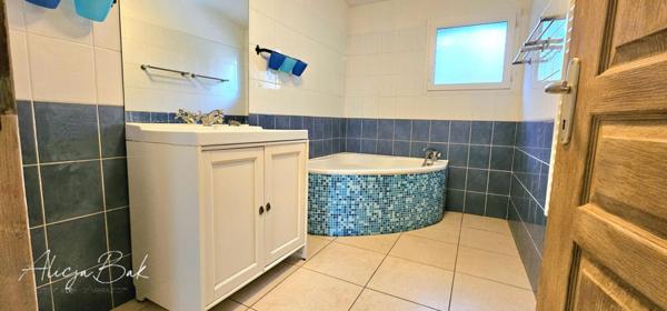 Immeuble Castelnaudary 10 pièce(s) 235 m2