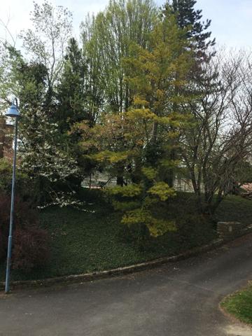 Vente TerrainST POL SUR TERNOISE (62130)