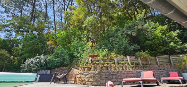 HOSSEGOR(40) - VASTE VILLA AVEC PISCINE - PROCHE DE LA FORET - CALME ABSOLU