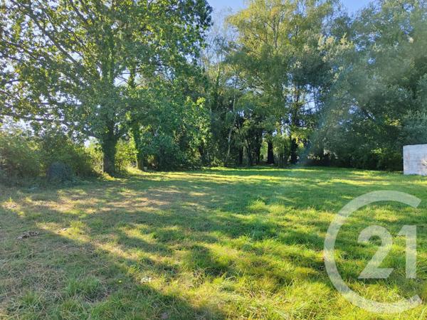 Terrain à vendre  1200 m2 ST GILDAS DE RHUYS - 56