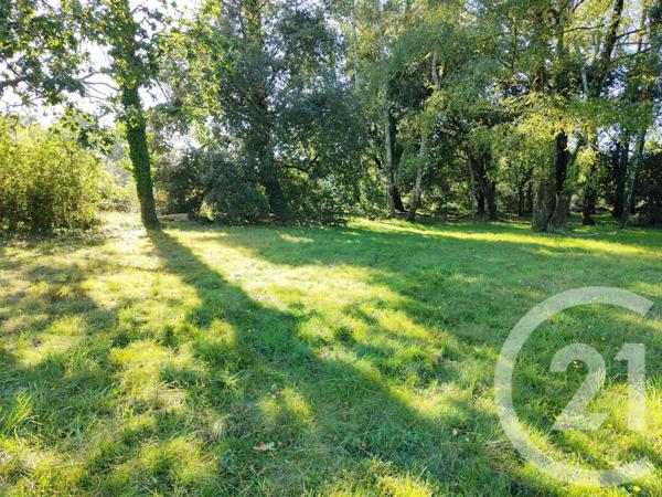 Terrain à vendre  1200 m2 ST GILDAS DE RHUYS - 56