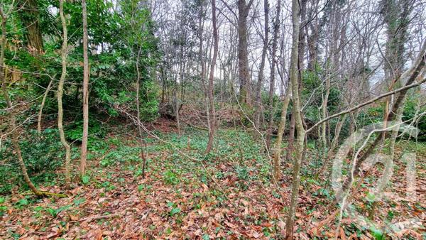 Terrain à vendre  3200 m2 SARLAT LA CANEDA - 24