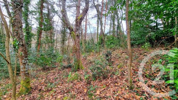 Terrain à vendre  3200 m2 SARLAT LA CANEDA - 24